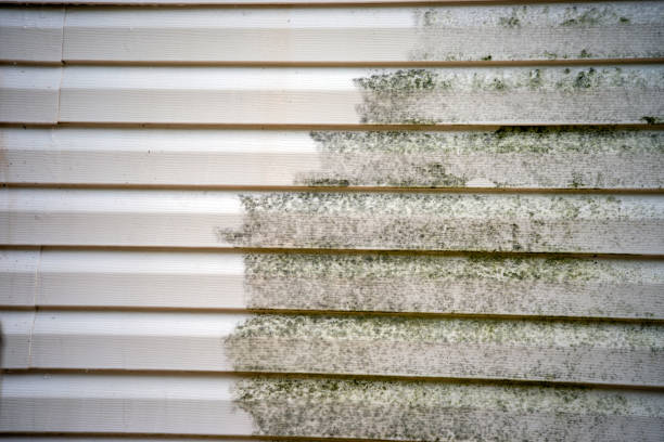 Best Shed Removal  in Hercules, CA